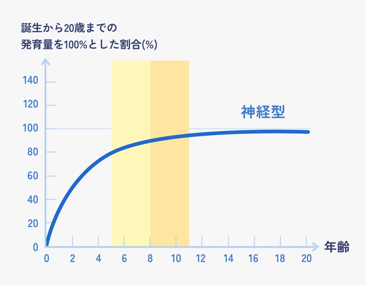 スキャモンの発育曲線のグラフ
